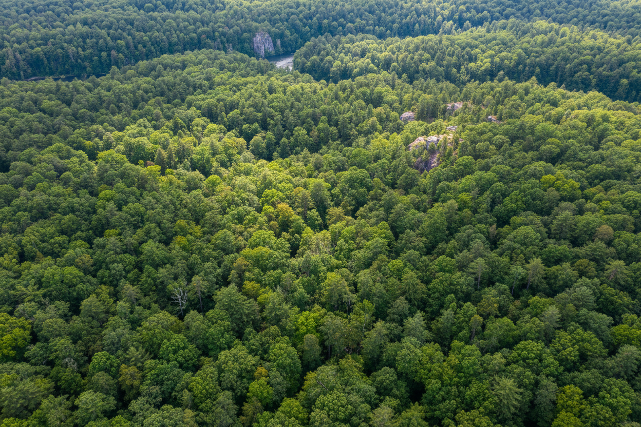 Kolory w modzie – jak wpływają na stylizacje